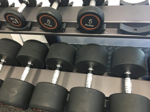 Read more about the article Let’s do some weight training – hummer curls